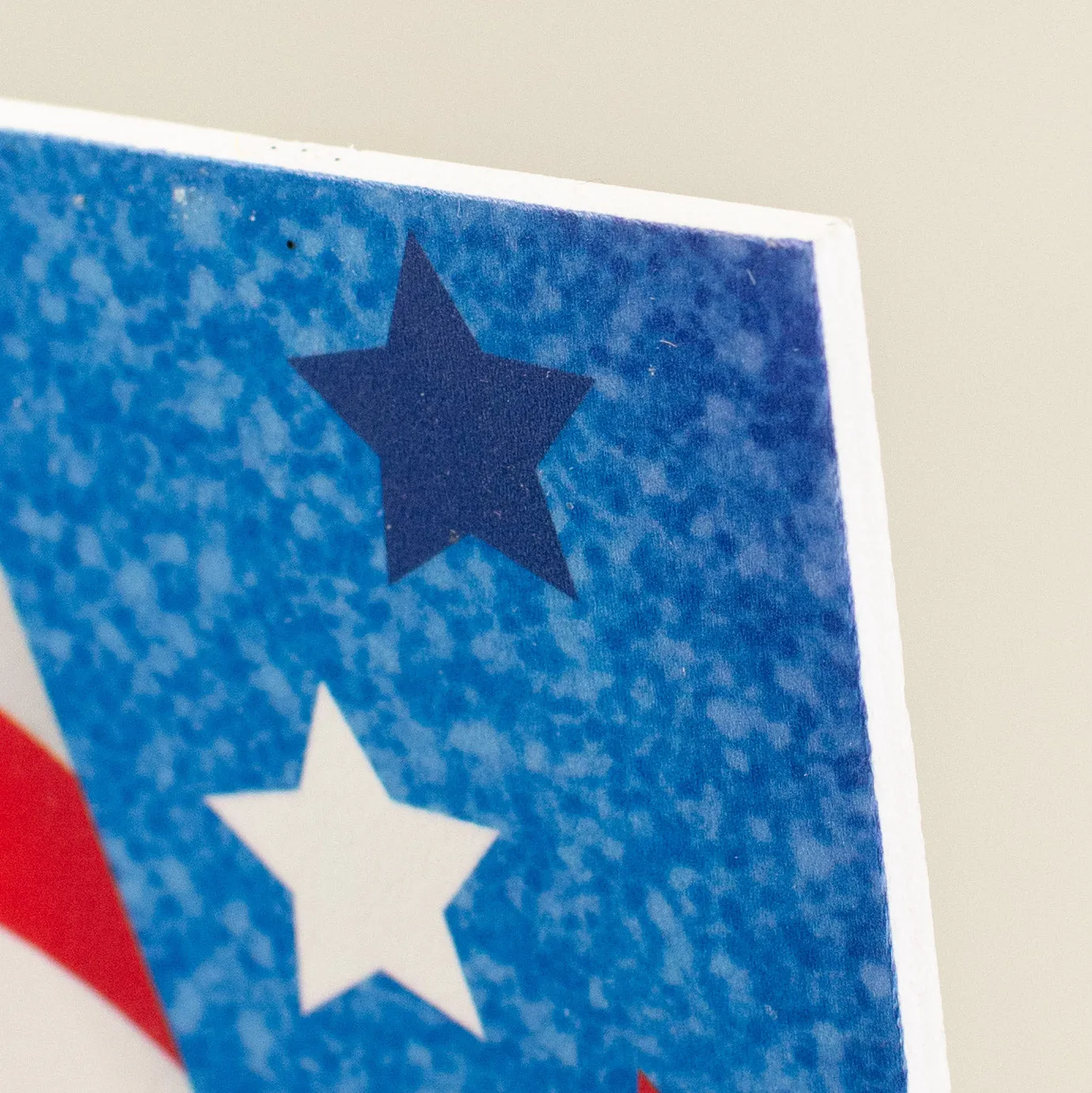 12" Waterproof Sign: Let Freedom Ring Gnomes